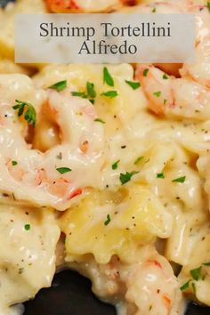 shrimp tortelli alfredo is an easy and delicious dinner that's ready in under 30 minutes