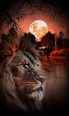 a lion is shown in front of a full moon and some trees, with the water reflecting it's face