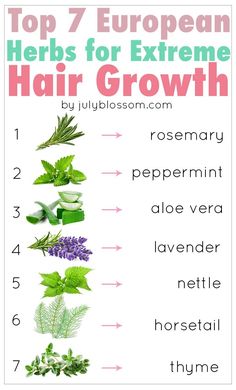 Women since long ago have been using herbs for their hair care. What remedies have they been using? One of them is herbs. This article talks about the top 7 European herbs for hair growth and how to use them so keep reading. Health Gummies, Herbs For Hair Growth, Media Pictures, 300 Workout, Hair Recipes, Stop Hair Breakage, Extreme Hair Growth, Money Honey