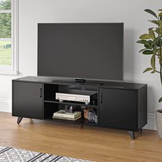 a flat screen tv sitting on top of a wooden entertainment center next to a potted plant