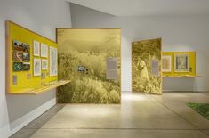 a room filled with yellow and white pictures on the wall next to a green rug