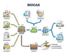 the diagram shows how biogas is used to produce plants and other things in their environment