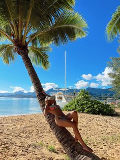 a woman sitting on top of a palm tree next to the ocean