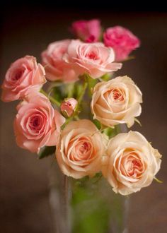 a vase filled with pink and white roses