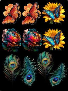 colorful butterflies and flowers on a black background with water reflection in the bottom right corner