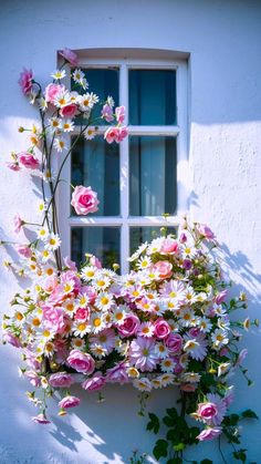 pink and white flowers are growing out of the window sill