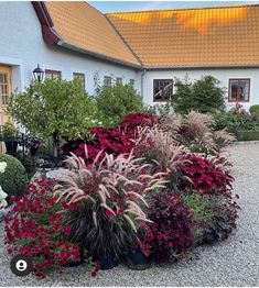 an assortment of plants and flowers in front of a white house with red trimmings