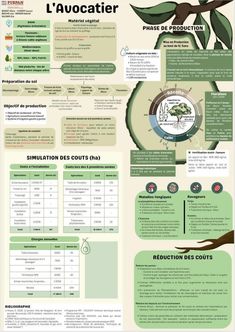 a poster with information about the different types of plants and their uses in french language