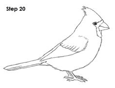 a drawing of a bird with the words step 20