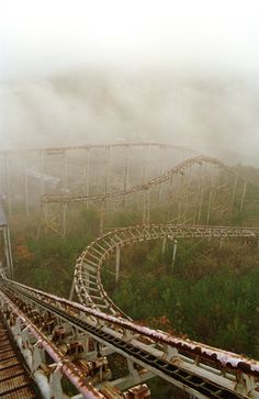 a roller coaster in the middle of a foggy field with lots of trees and bushes