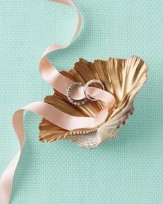 two wedding rings sitting on top of a seashell with a pink ribbon around it