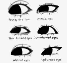 an image of different types of eyes