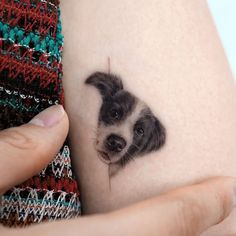 a small dog's face is shown on the side of a woman's arm