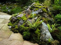 a rock covered in green moss next to a stone walkway with plants growing on it