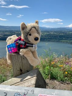 a stuffed animal that is on top of a wooden post