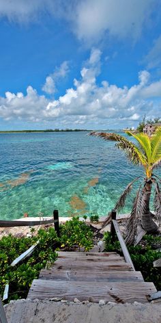 stairs lead down to the beach and clear blue water with palm trees in the foreground