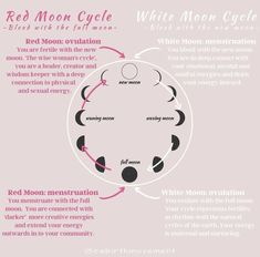 Period Cycle, Menstrual Health, Feminine Health