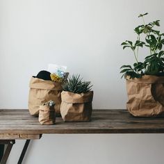 two planters sitting on top of a wooden table next to each other with plants in them