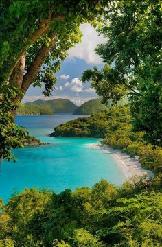 the blue water is surrounded by green trees