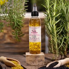 Extra Strength Rosemary+Fenugreek Herbal Hair Growth Oil - The Mane Attraction Herbal Hair Growth Oil, Herbal Hair Growth, Fine Mist Spray Bottle, Hair Quiz, Herbal Hair, Rosemary Oil, Oil Treatments, Growth Oil, Hair Growth Oil