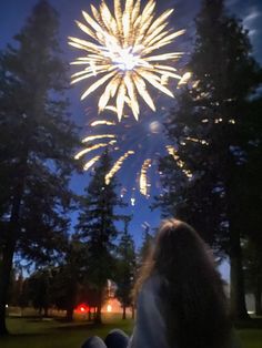 people are sitting on the grass watching fireworks in the sky over trees and lawn area