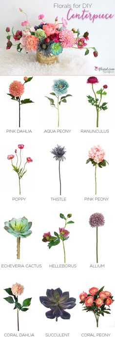 the different types of flowers are shown in this graphic style, and each flower has its own name on it