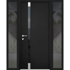 the front door is black and has two glass panels on each side, with an aluminum frame