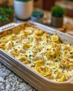 a casserole dish filled with pasta and cheese