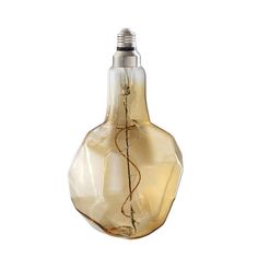 a light bulb that is shaped like a vase with vines in the bottom and inside