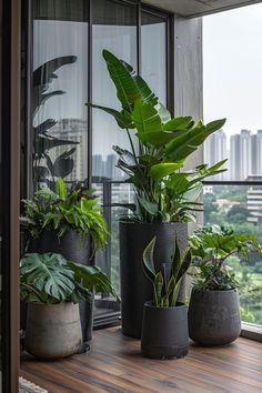 several potted plants sit on a window sill in front of a cityscape