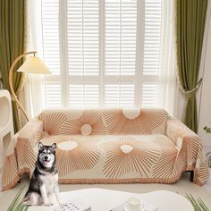 a dog sitting on top of a table next to a couch