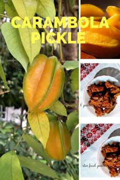 there is a collage of pictures with oranges on it and the words carambola pickle