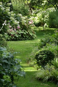 a lush green garden with lots of trees and bushes