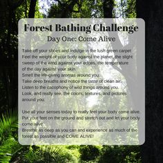 the forest bathing challenge is here