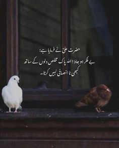 Fireboy And Watergirl, Game Portal, Romantic Poetry Quotes, Urdu Quotes Images, Sana Khan, Html 5, Impress Quotes, Mothers Love Quotes, Good Morning Nature