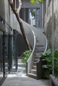 the stairs lead up to the second floor and are surrounded by greenery, with glass doors on both sides