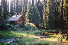 a log cabin nestled in the woods near a pond