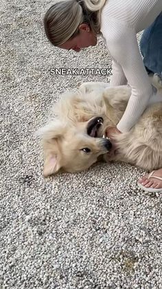 a woman is petting a dog on the ground