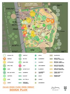 a garden plan with lots of trees and plants