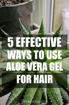 The best and most effective ways for black women to use aloe vera gel to keep hair healthy and long and have their desire hair length. Aloe Vera Gel Uses, Aloe Vera Gel For Hair, Good For Hair Growth, Gel For Hair, Aloe Vera Mask, Aloe Vera Skin Care, Hair Care Remedies