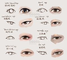 various types of eyeliners and how to draw them