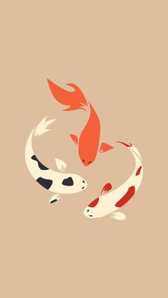 two orange and white koi fish swimming in a pond on a tan background with black spots