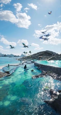 people swimming in the ocean with birds flying overhead