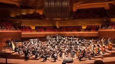 an orchestra performing in front of a large audience