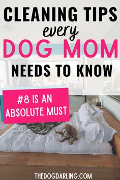 a dog laying on top of a bed with the words cleaning tips every dog mom needs to know