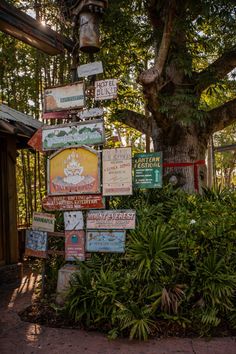 many signs are posted on the side of a tree in front of some bushes and trees