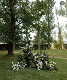 an arrangement of white flowers in the middle of a grassy area next to some trees