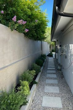 a long narrow walkway is lined with plants and rocks in front of a house on a sunny day