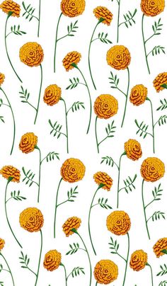 an orange flower pattern is shown on a white background, with green stems and leaves