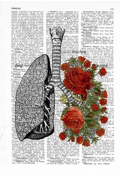 an image of the lungs and roses on a book page with words written in english